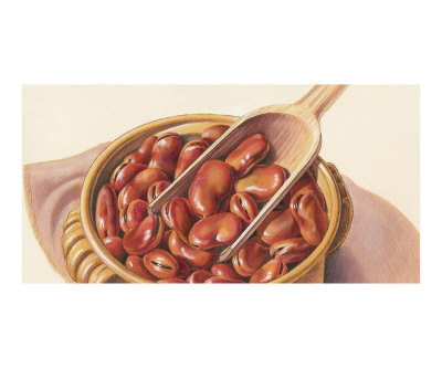 Kidney Beans Giclee Print Kidney Beans Giclee Print