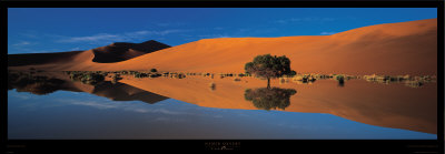Namib Desert Print Namib Desert Print