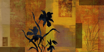 Indian Orchid Limited Edition on Canvas Indian Orchid Limited Edition on Canvas