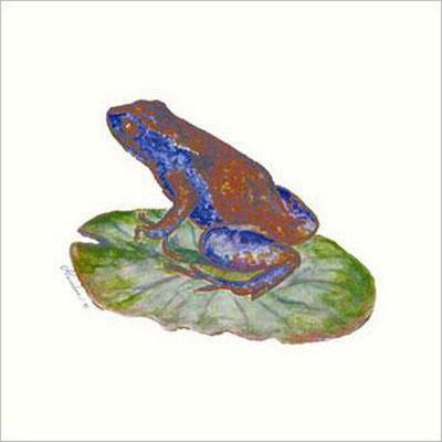 Frog Display 6 Print Frog Display 6 Print