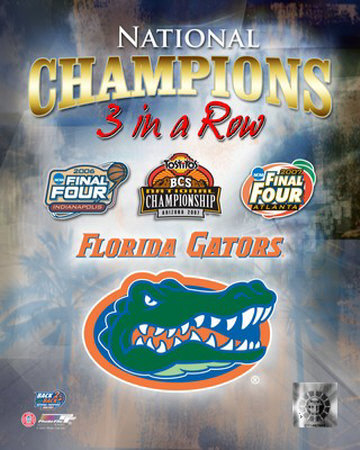 Florida Gators Photograph Florida Gators Photograph