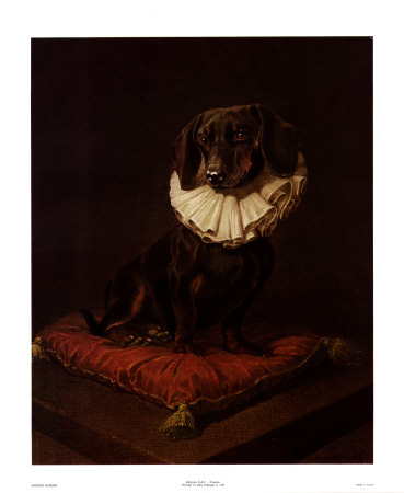 Dachshund Print Dachshund Print
