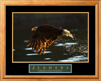 Leaders: Bald Eagle Framed Print Leaders: Bald Eagle Framed Print