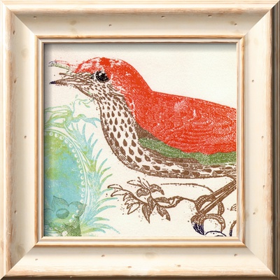 Red Bird Framed Print Red Bird Framed Print