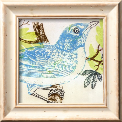 Bluebird Framed Print Bluebird Framed Print