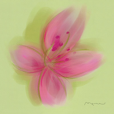 Lily Print Lily Print