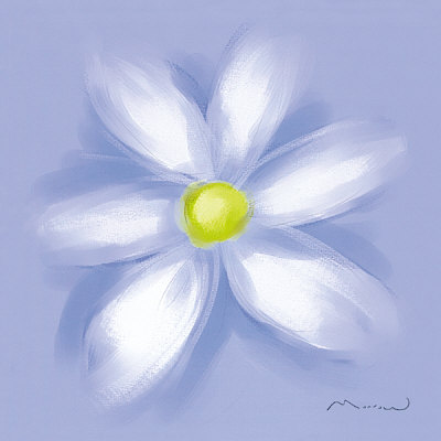 Daisy Print Daisy Print