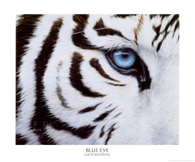 Blue Eyes Print Blue Eyes Print