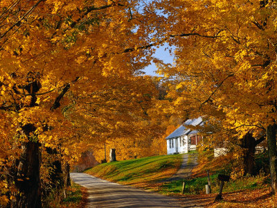 izzet-keribar-country-road-in-autumn-usa.jpg