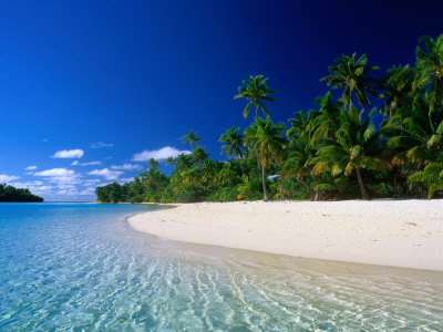 tropical island pictures. Tropical Beach, Cook Islands