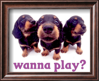 Wanna Play? Framed Print Wanna Play? Framed Print