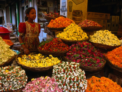 Flower Seller at the New Market., Kolkata, West Bengal, India Stretched Canvas Print
