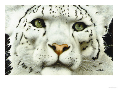 Emperor of Everest Giclee Print Emperor of Everest Giclee Print