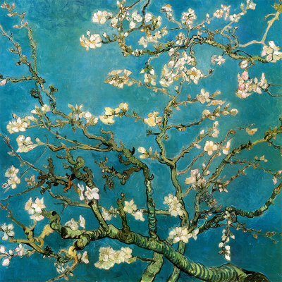 Almond Branches in Bloom, San Remy, c.1890 Print