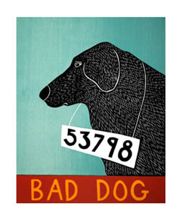 Bad Dog Lab Limited Edition Bad Dog Lab Limited Edition