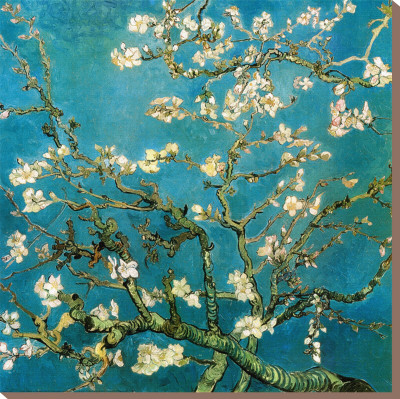 Almond Branches in Bloom, 1890 Stretched Canvas Print Almond Branches in Bloom, 1890 Stretched Canvas Print