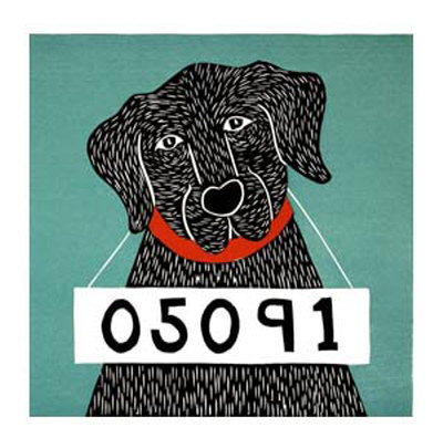 Bad Dog-05091 Limited Edition Bad Dog-05091 Limited Edition