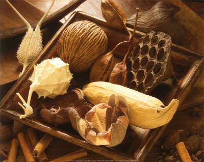 Dried Flower Print Dried Flower Print