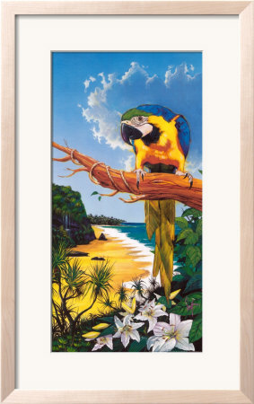 Macaw Cove Framed Print Macaw Cove Framed Print