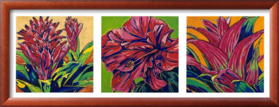 Tropical Splendor Framed Print Tropical Splendor Framed Print