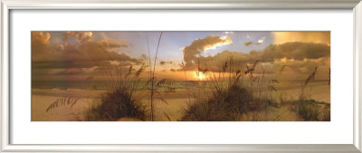 Tranquility Framed Print Tranquility Framed Print