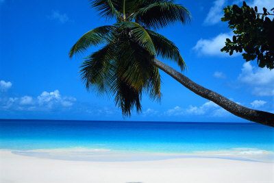 Seychelles Poster Seychelles Poster