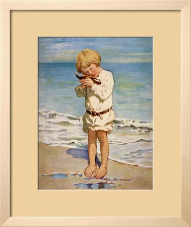 Fallen Gull Framed Print Fallen Gull Framed Print