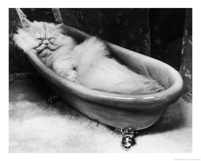 Persian Bath Print Persian Bath Print