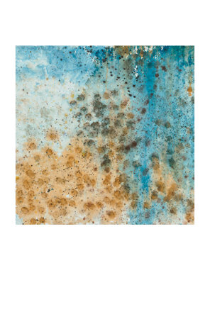 Connection III Limited Edition Connection III Limited Edition