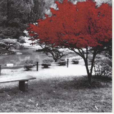 Quiet Moments Stretched Canvas Print Quiet Moments Stretched Canvas Print