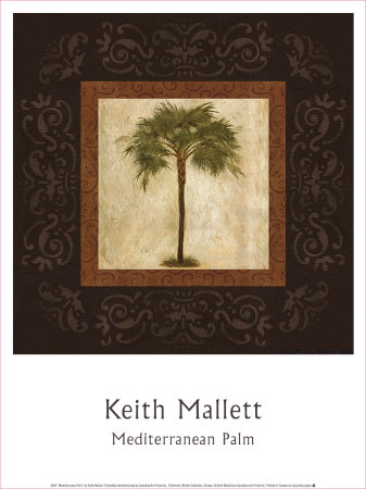 Mediterranean Palm Print Mediterranean Palm Print