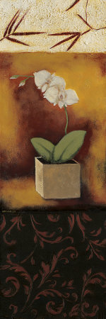 Orchid Song Print Orchid Song Print