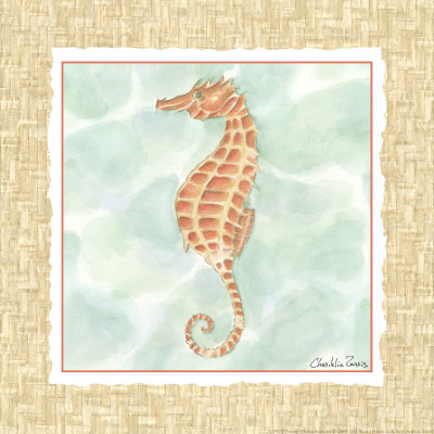 Ocean Seahorse Print Ocean Seahorse Print