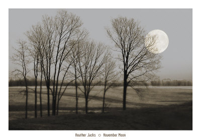 November Moon Print November Moon Print