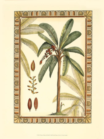 Native Palms II Print Native Palms II Print