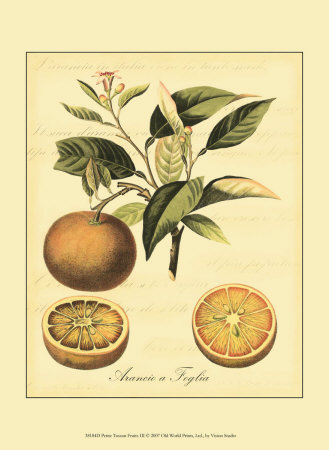 Petite Tuscan Fruits III Print Petite Tuscan Fruits III Print