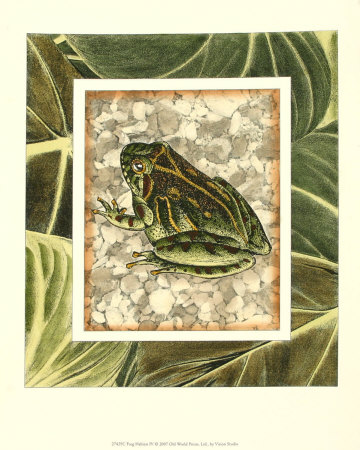 Frog Habitat IV Print Frog Habitat IV Print