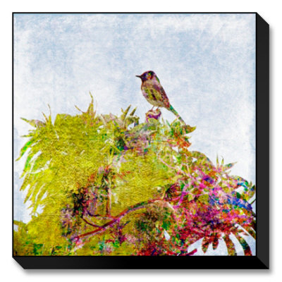 Windsong Limited Edition on Canvas Windsong Limited Edition on Canvas