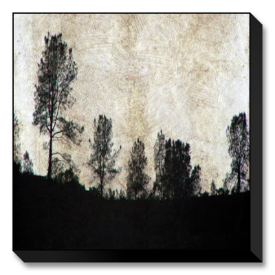 Translucent Sky Limited Edition on Canvas Translucent Sky Limited Edition on Canvas