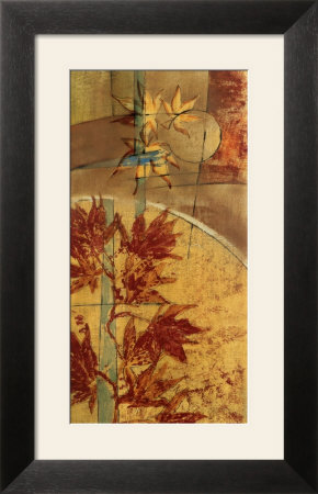 Maple North Framed Print Maple North Framed Print
