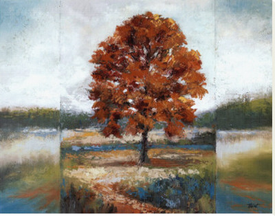 Evening Oak Stretched Canvas Print Evening Oak Stretched Canvas Print