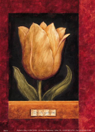 Orange Tulip Print Orange Tulip Print