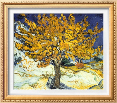 Mulberry Tree Van Gogh