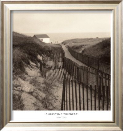 Dune Fence Framed Print Dune Fence Framed Print