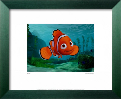Nemo Framed Print Nemo Framed Print