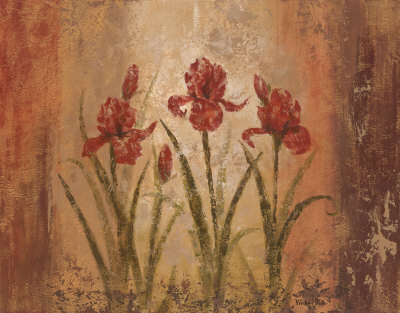 The Iris Style Print The Iris Style Print