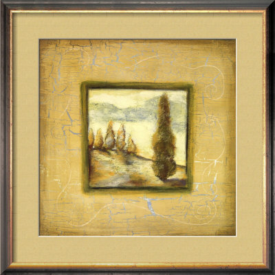 Summer Light II Framed Print Summer Light II Framed Print