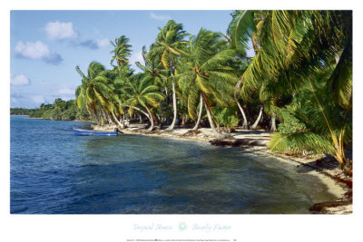 Tropical Breeze Print Tropical Breeze Print