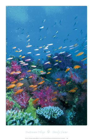 Underwater Village Print Underwater Village Print