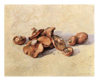 Mushrooms Print Mushrooms Print